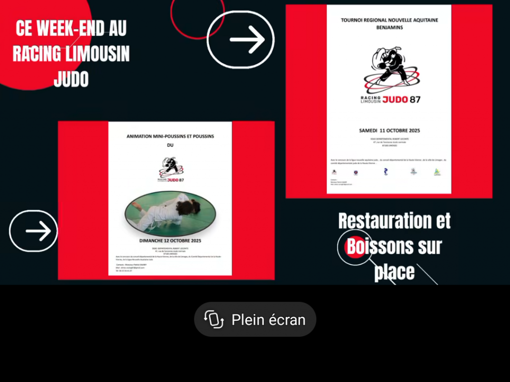 Image de l'actu 'Tournoi Benjamins du RLJ 87 (Labelisé)'